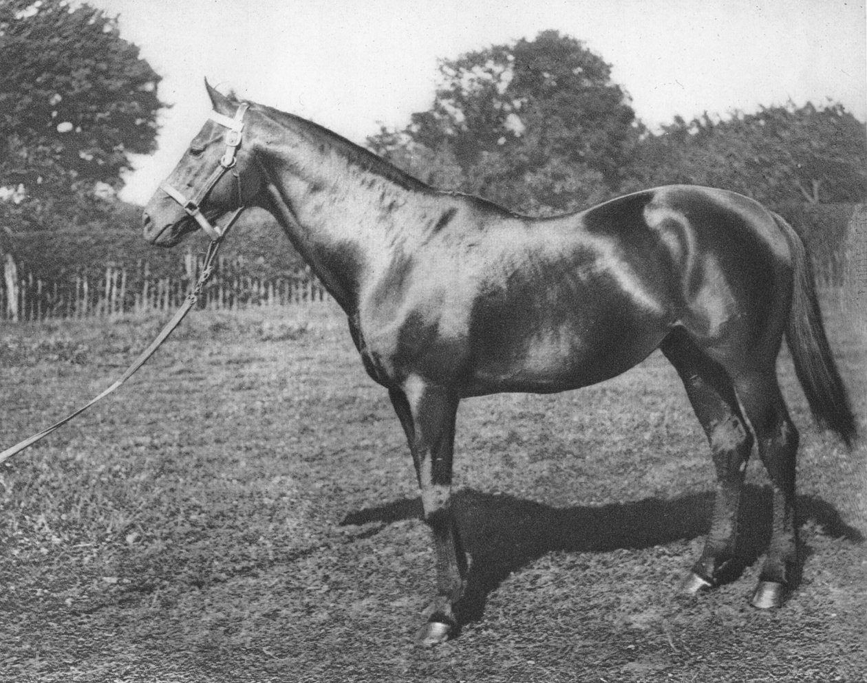 Commun, 19e siècle, 1911 - Unbekannt