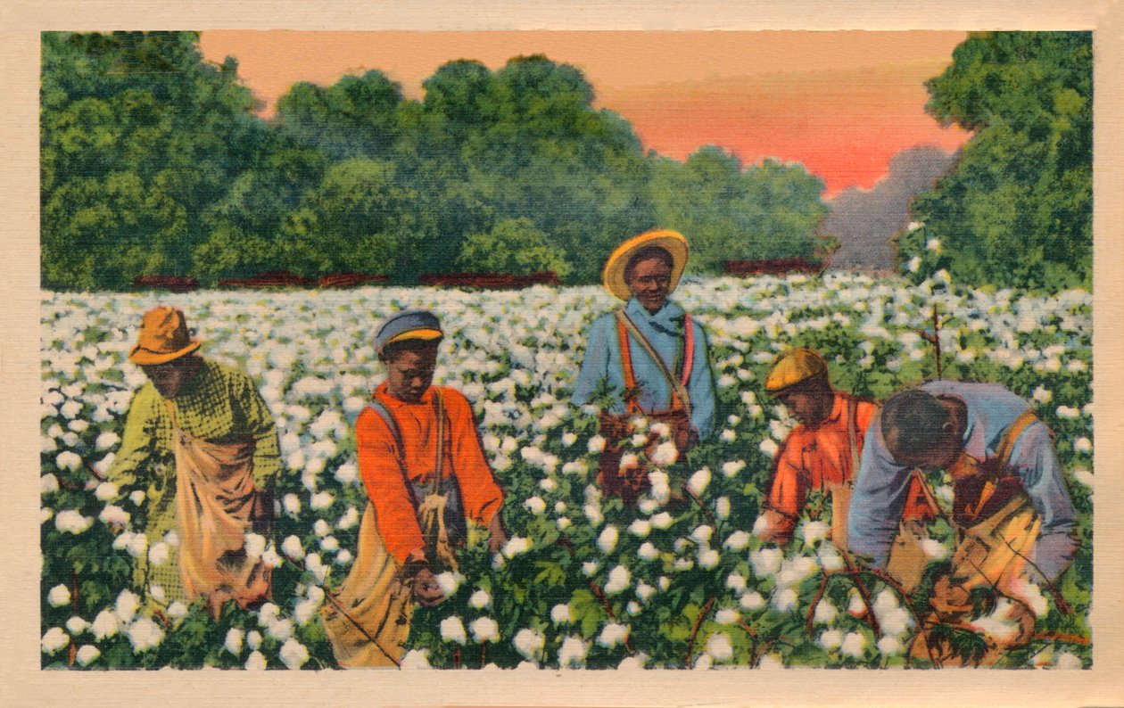 Cueillette de coton, Augusta, Géorgie, 1943 - Unbekannt