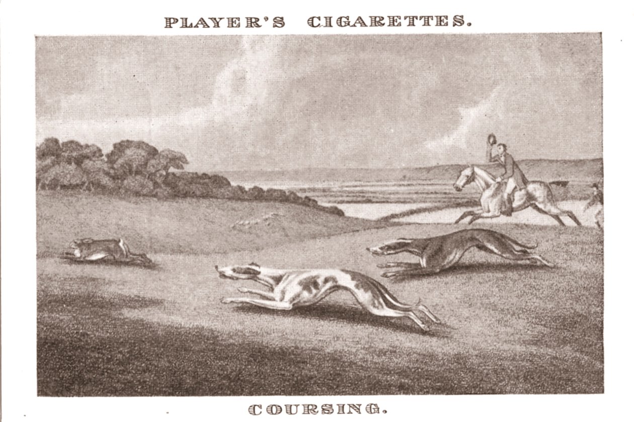 Coursing-11, 1924 - Unbekannt