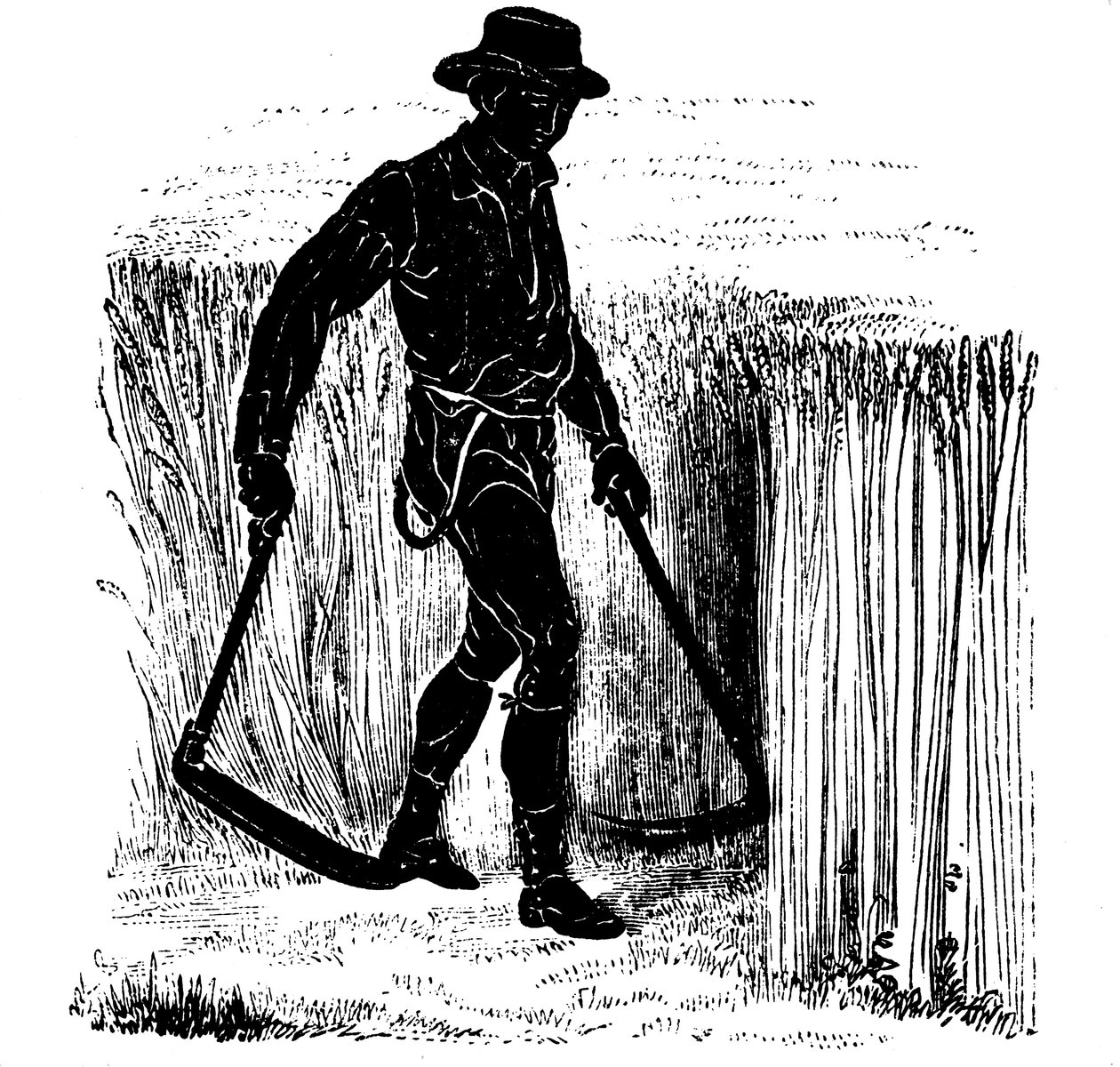 Rotation des cultures : moisson avec une faux de Hainault, 1855 - Unbekannt