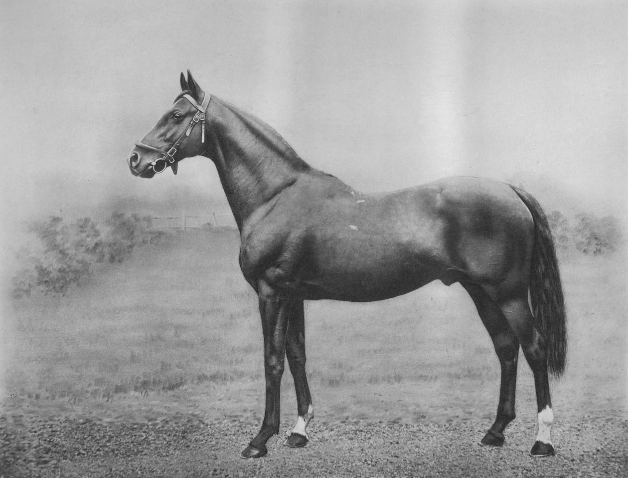 Cyllène, 1911 - Unbekannt