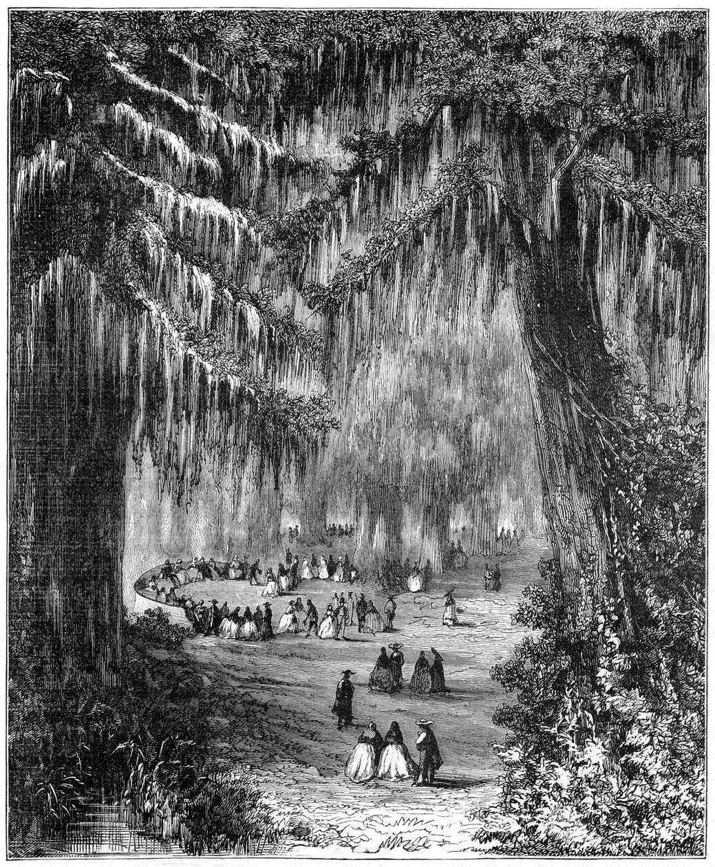 Bosquet de cyprès à Chapultepec, Mexico, 1877 - Unbekannt