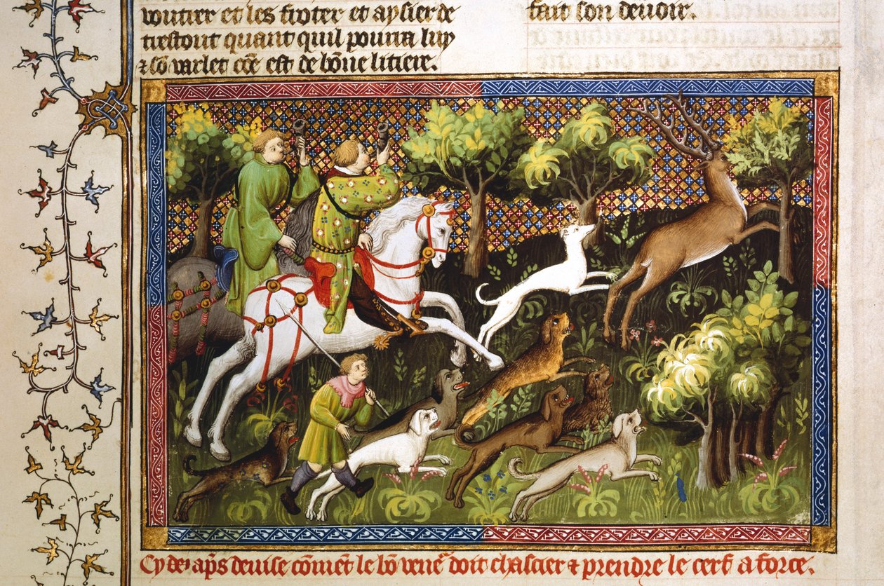 Chasse au cerf, 15ème siècle - Unbekannt