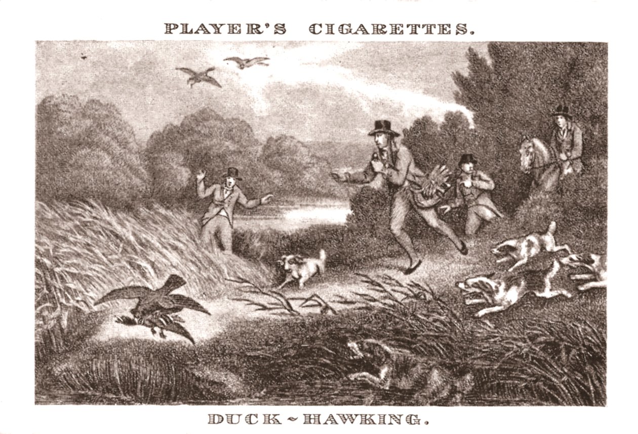 Chasse au canard, 1924 - Unbekannt