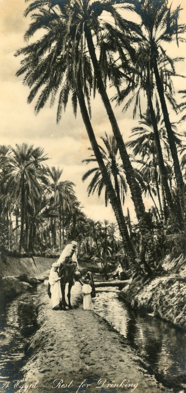Égypte - Pause pour boire, vers 1918-1939 - Unbekannt