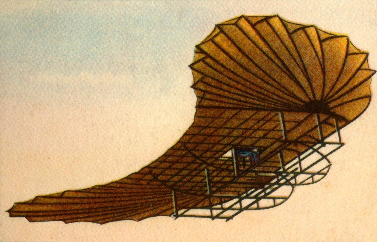 Planeur Zanonia d