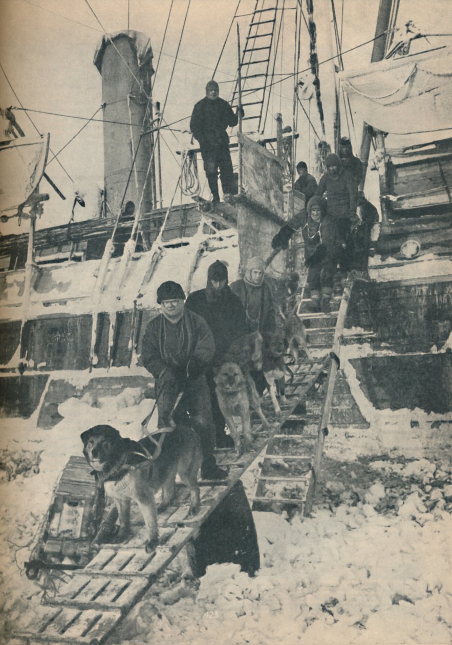 Exercice des chiens, 1936 - Unbekannt