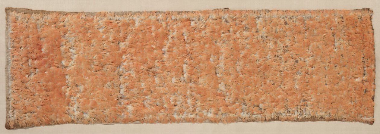 Panneau à Plumes, 600-1500 - Unbekannt