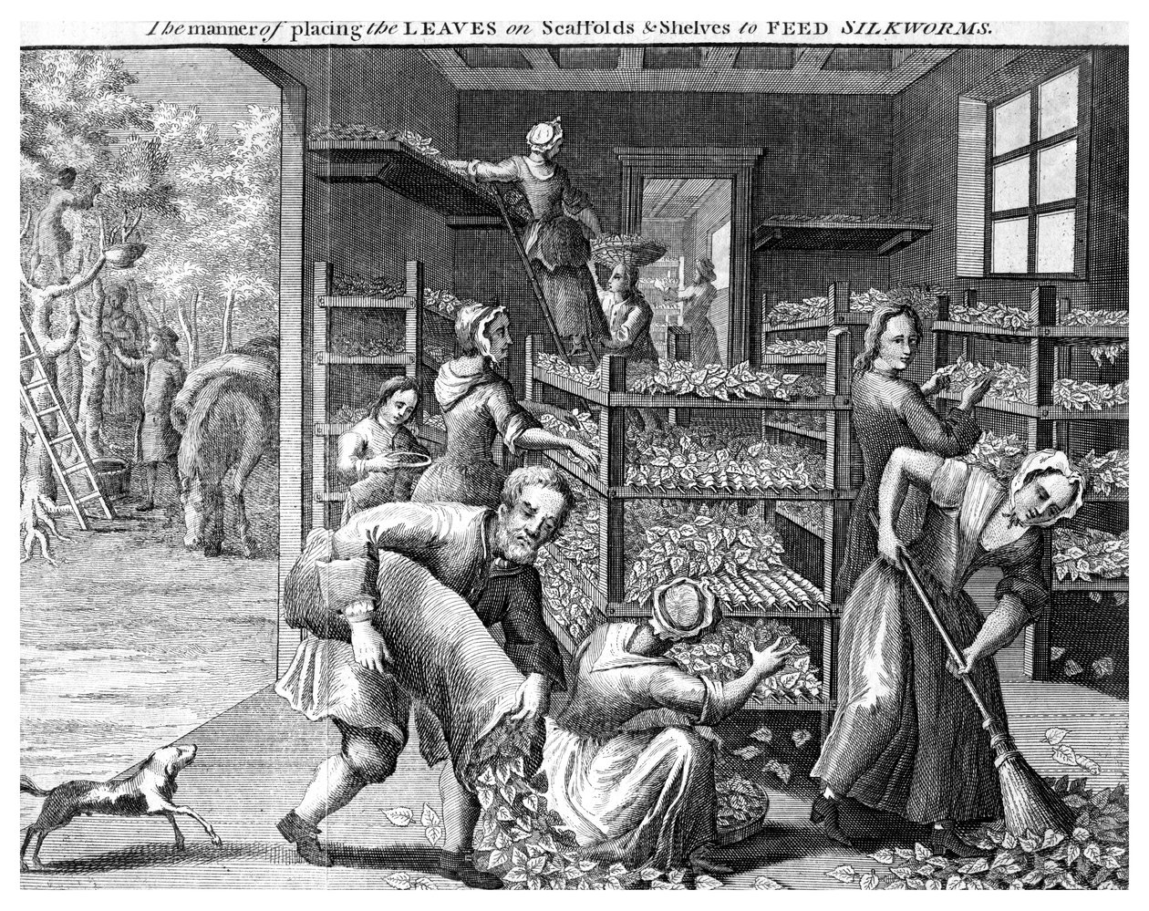 Nourrir les vers à soie - Unbekannt