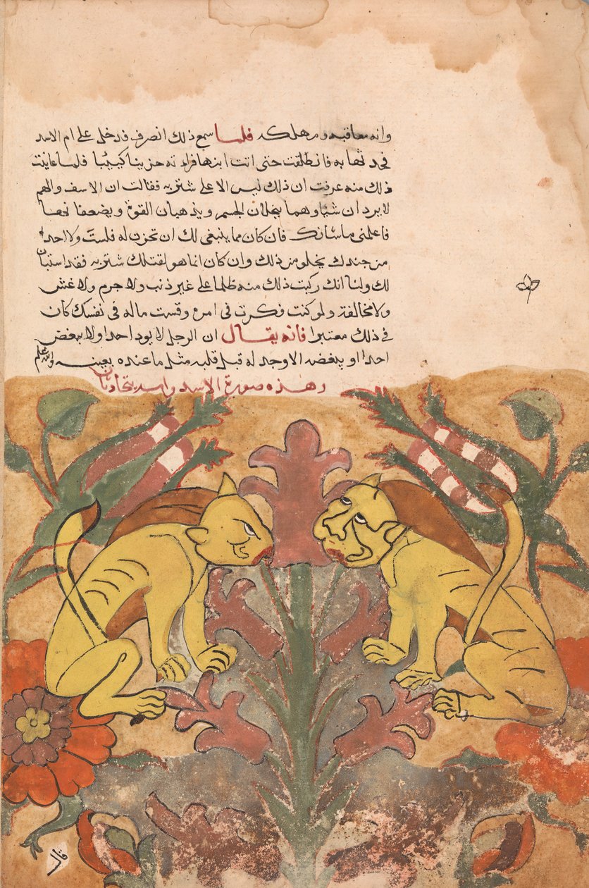 Folio d