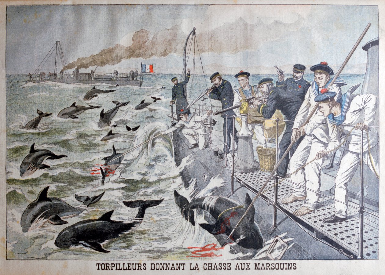 Torpilleurs français chassant les marsouins, 1903 - Unbekannt