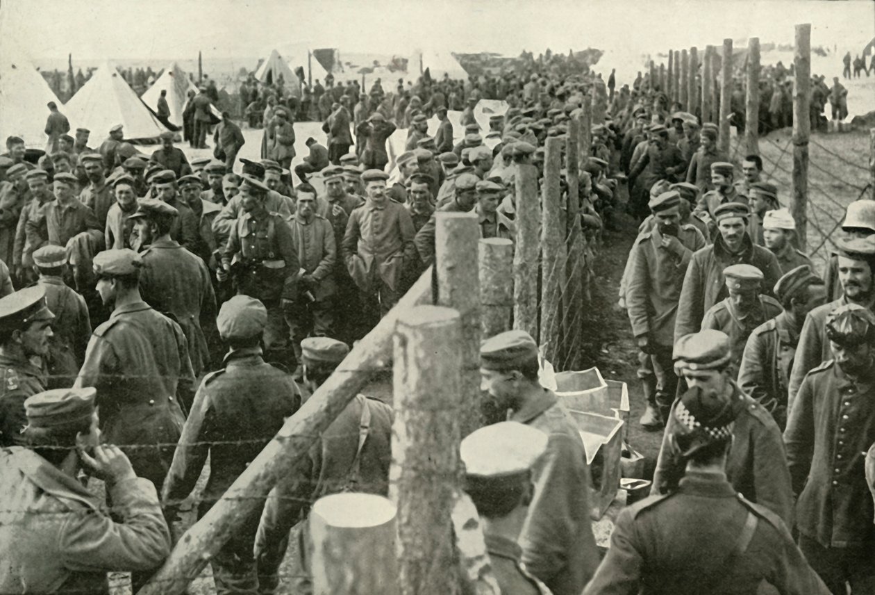 Prisonniers allemands entrant dans les cages, 1919 - Unbekannt