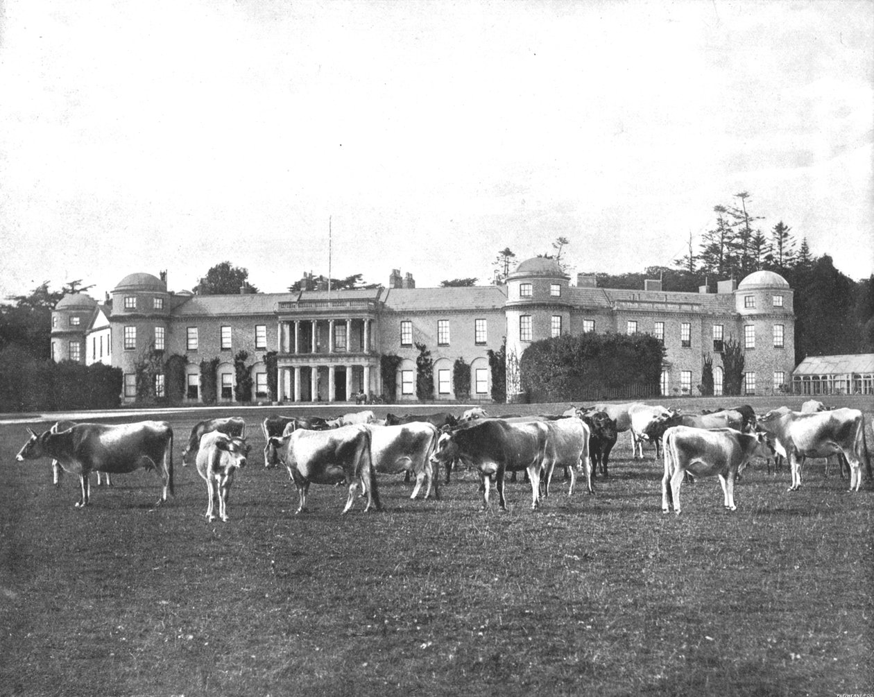 Goodwood, Hampshire, 1894 - Unbekannt