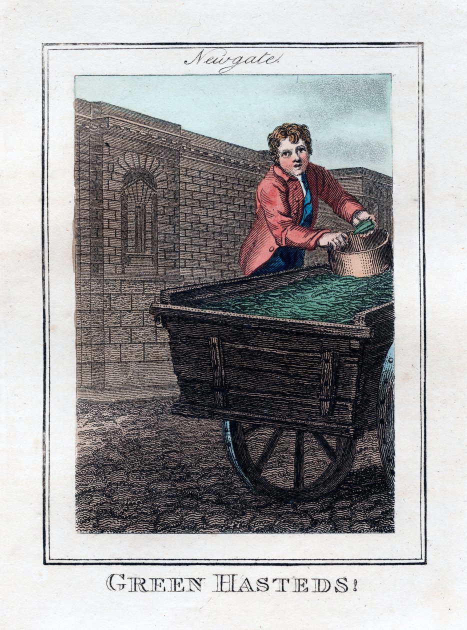Green Hasteds, Newgate, Londres, 1805 - Unbekannt