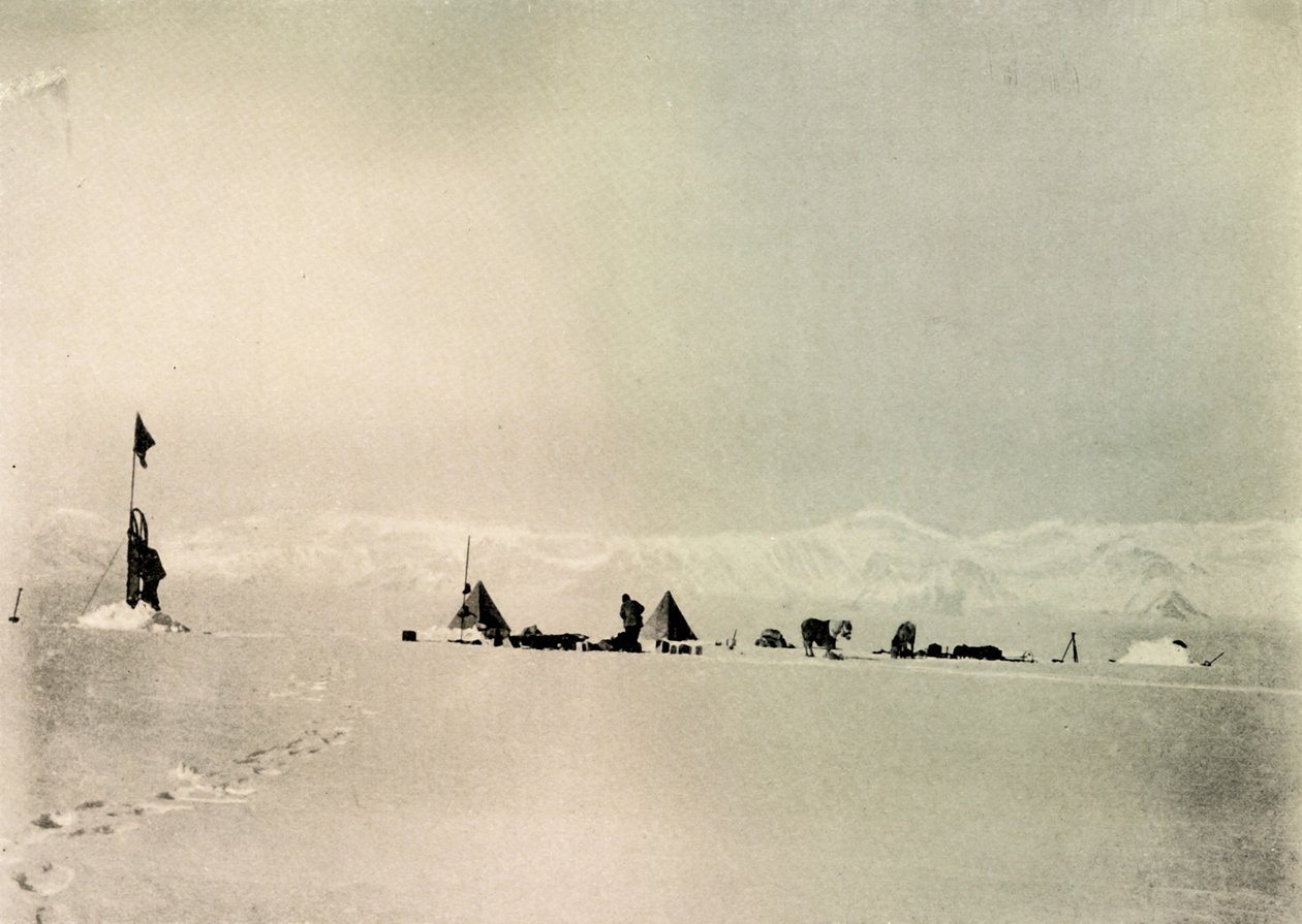 Dépôt de Grisi, Latitude 82° 45 Sud, vers 1908, 1909 - Unbekannt