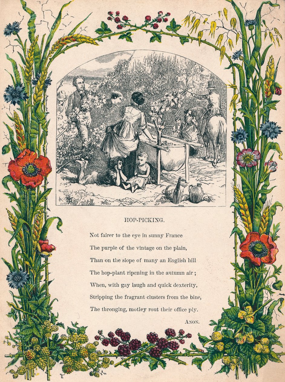 Cueillette du houblon, c1900 - Unbekannt