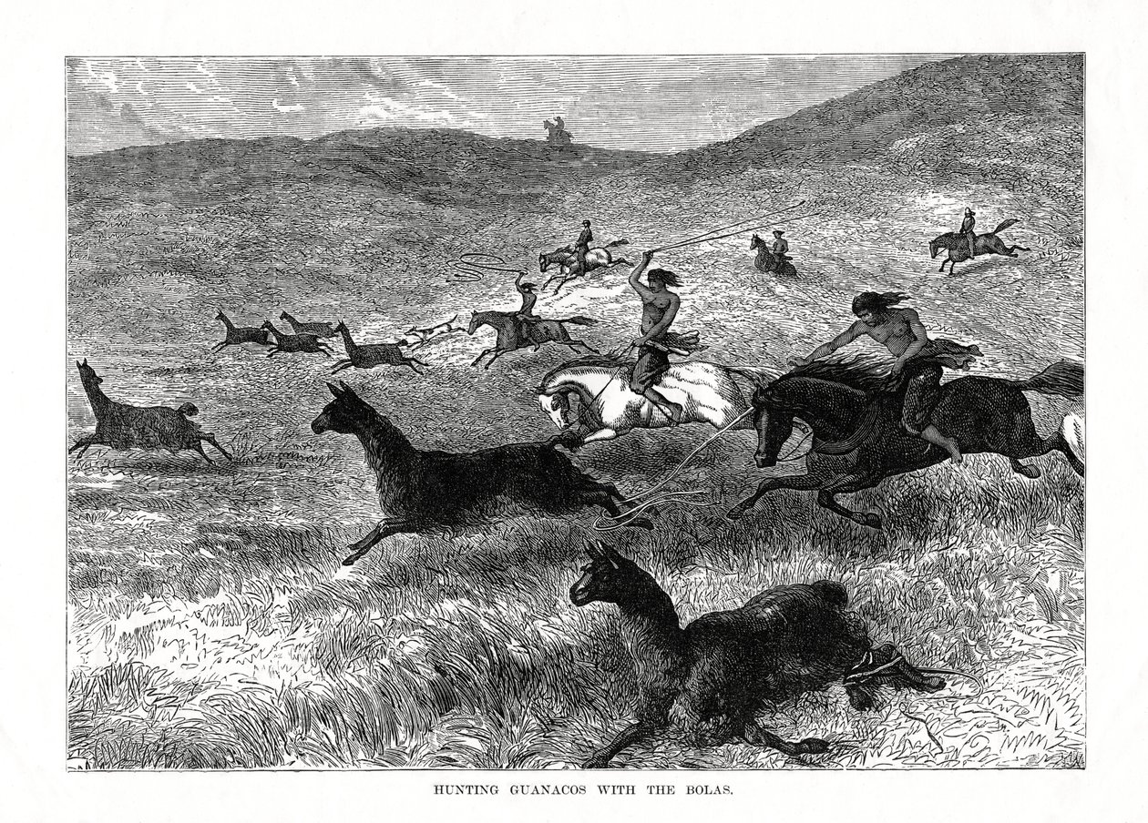 Chasse aux guanacos avec les bolas, Amérique du Sud, 1877 - Unbekannt