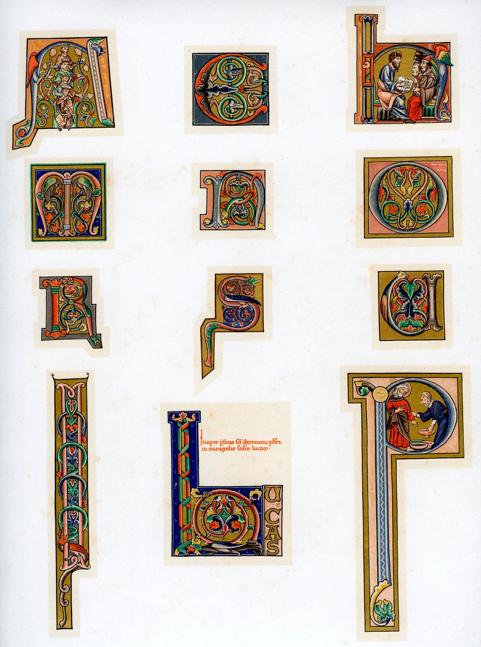 Lettres initiales enluminées, 13e siècle - Unbekannt