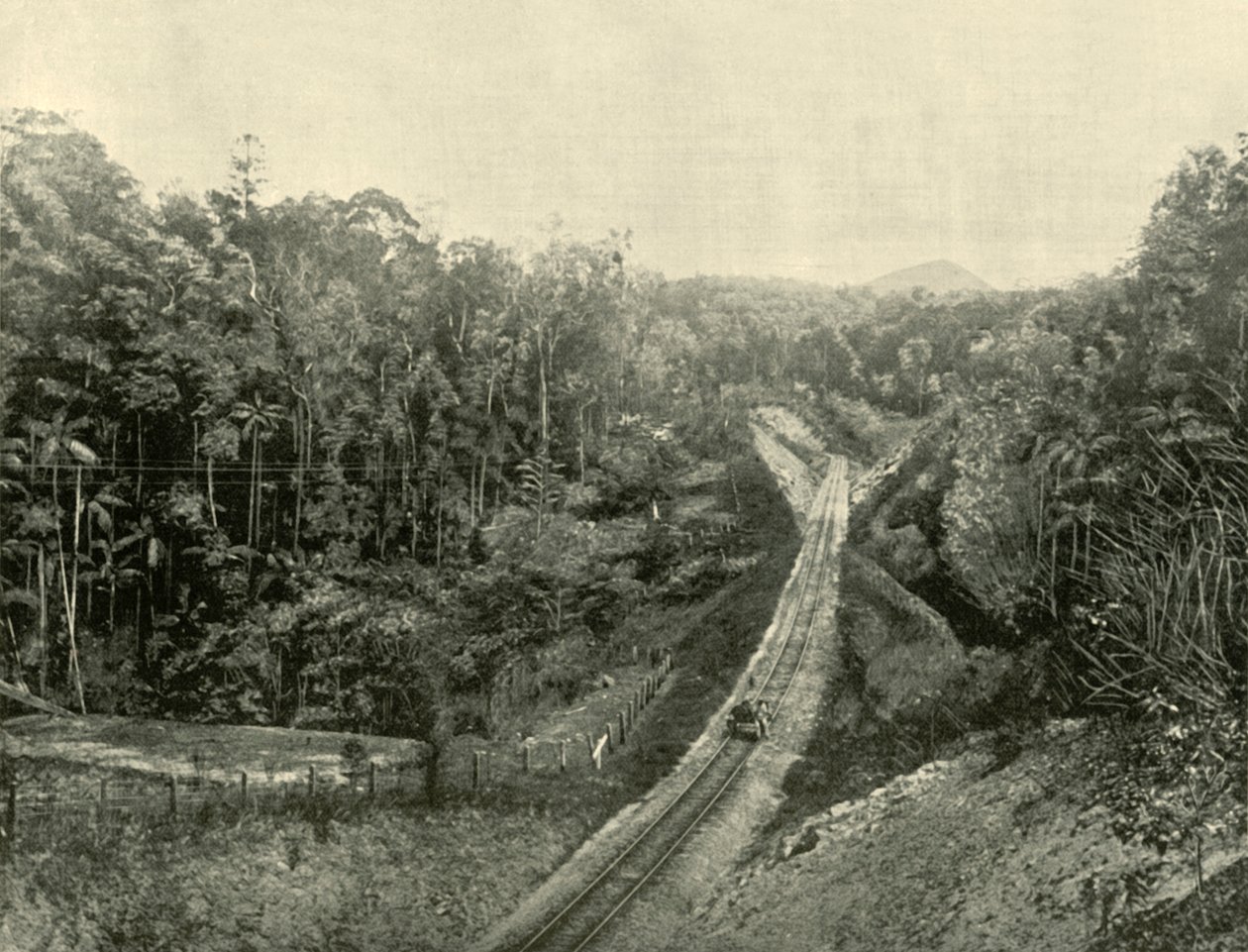 Dans les Blackall Ranges, 1901 - Unbekannt