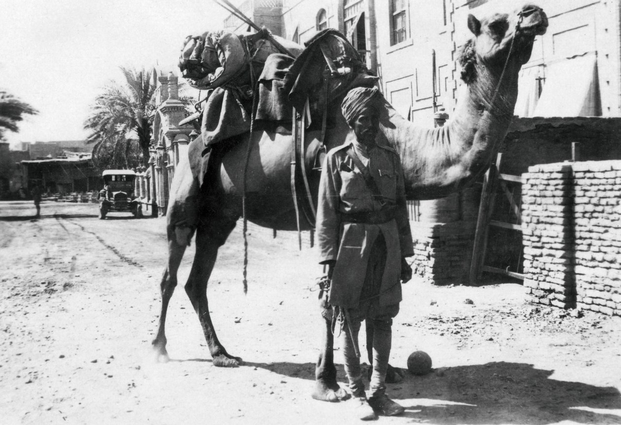 Cavalier indien à dos de chameau, Bagdad, 1918 - Unbekannt