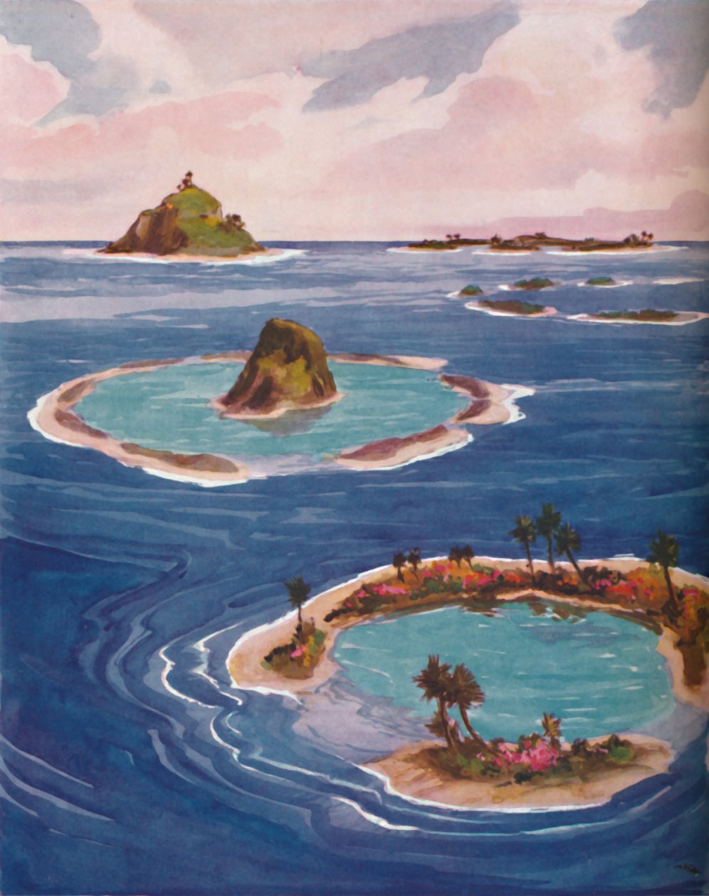 Îles formées par de minuscules créatures marines - Unbekannt