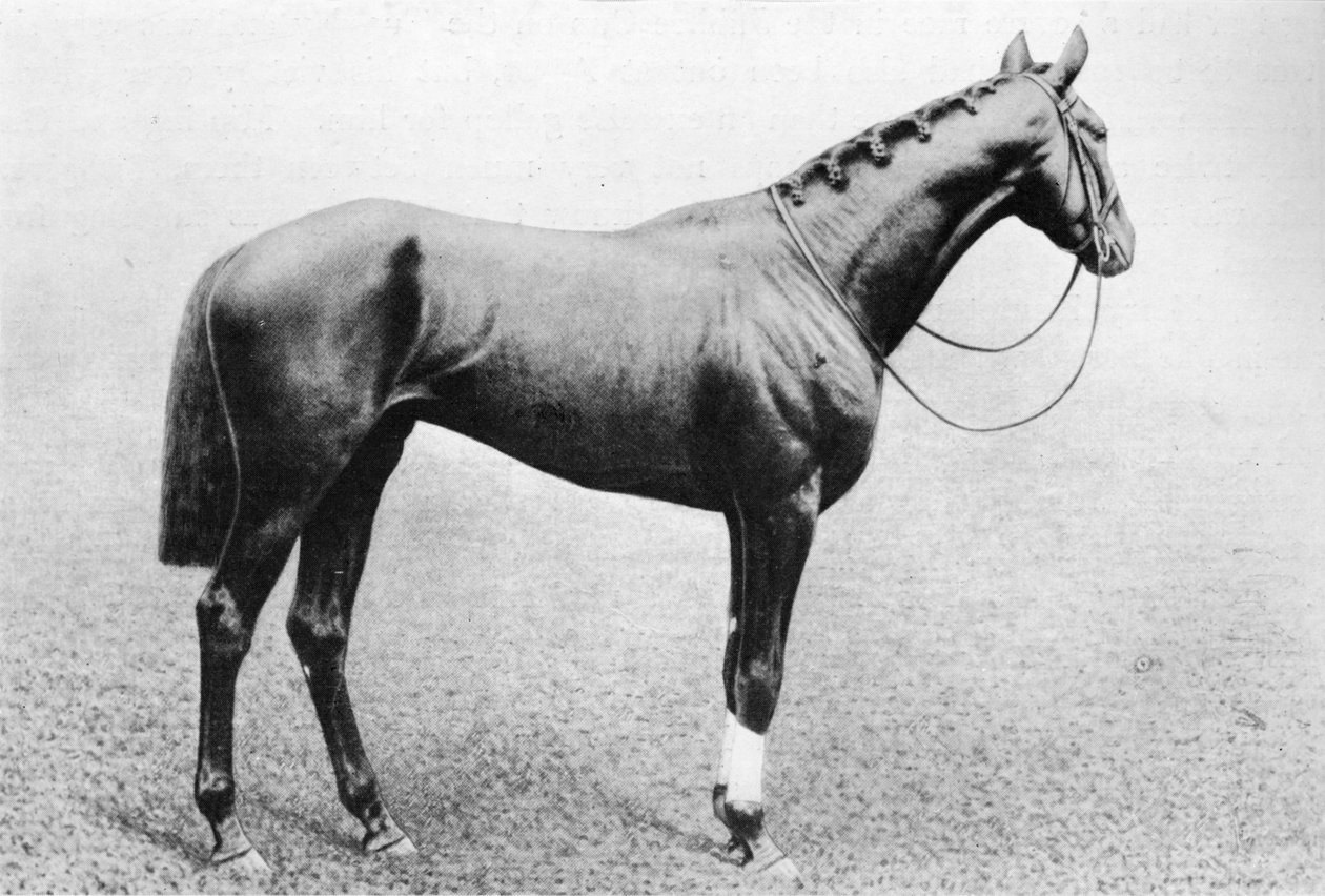 Djeddah, 1895-1909, 1911 - Unbekannt