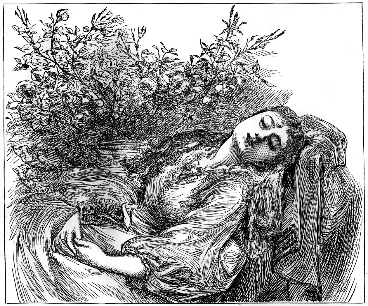 Juliette - Unbekannt