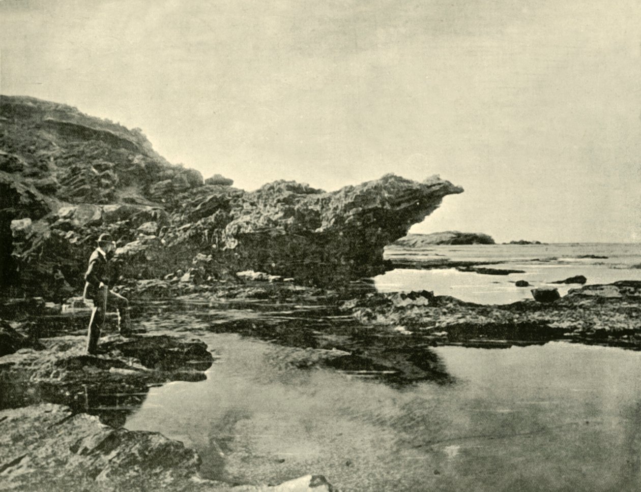 Marée basse, Shelly Beach, Warrnambool, 1901 - Unbekannt