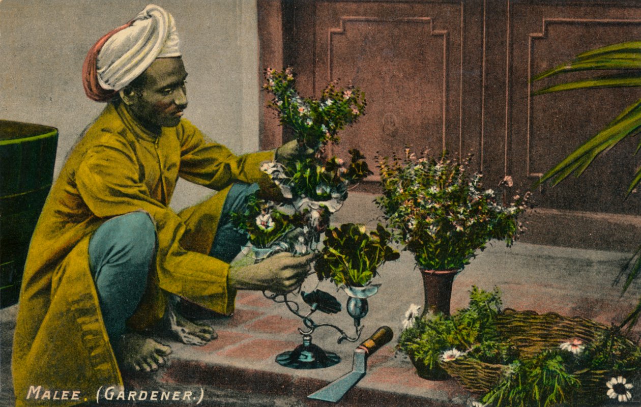 Jardinier Malee, vers 1900 - Unbekannt