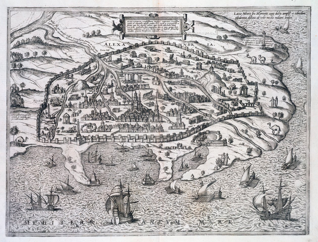 Carte d