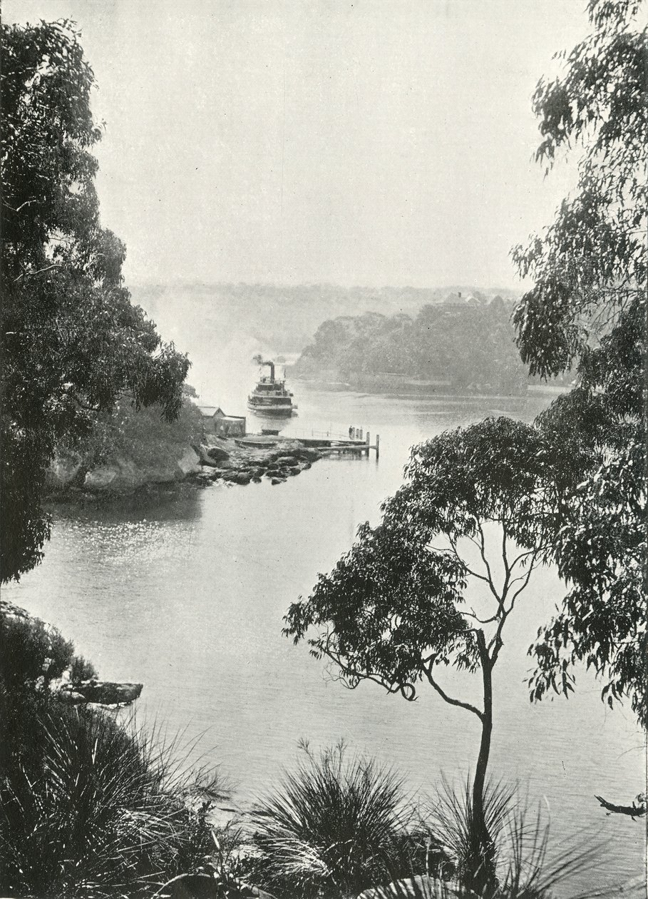 Mosmans Bay, depuis Cremorne Jetty, vers 1900 - Unbekannt