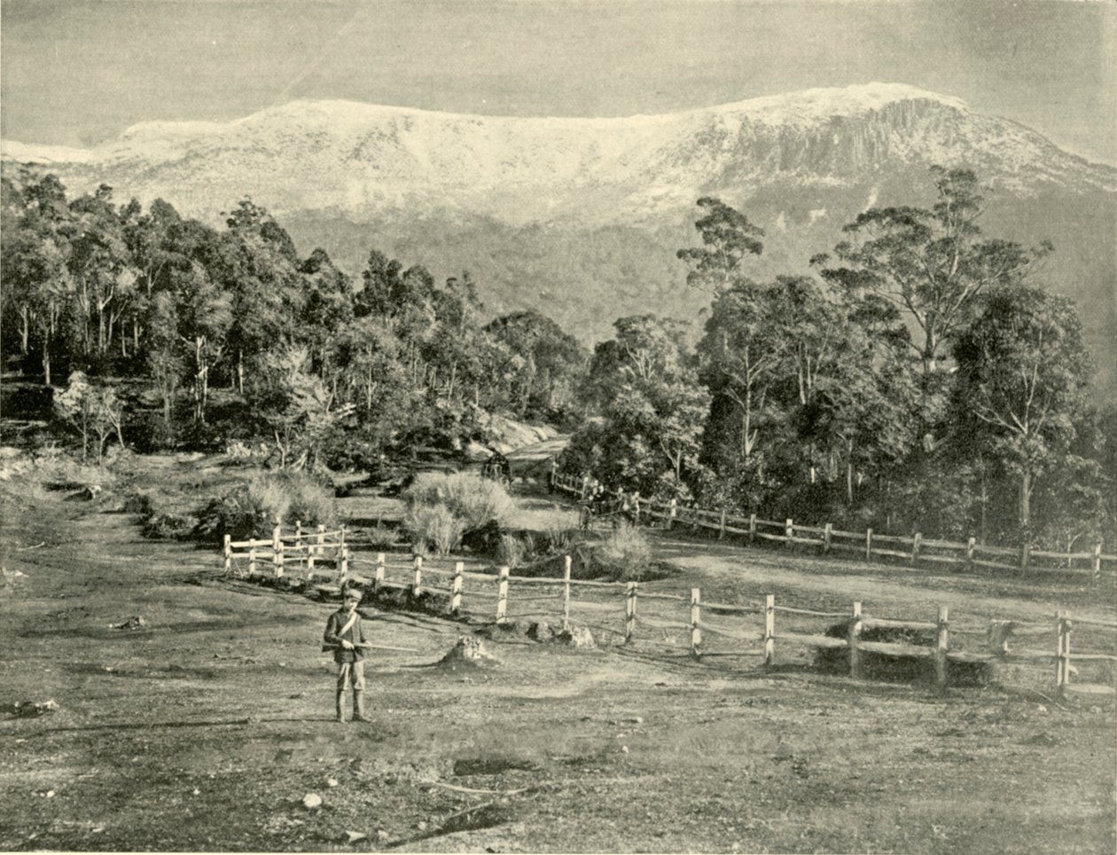Mont Wellington, depuis la route de Huon, 1901 - Unbekannt