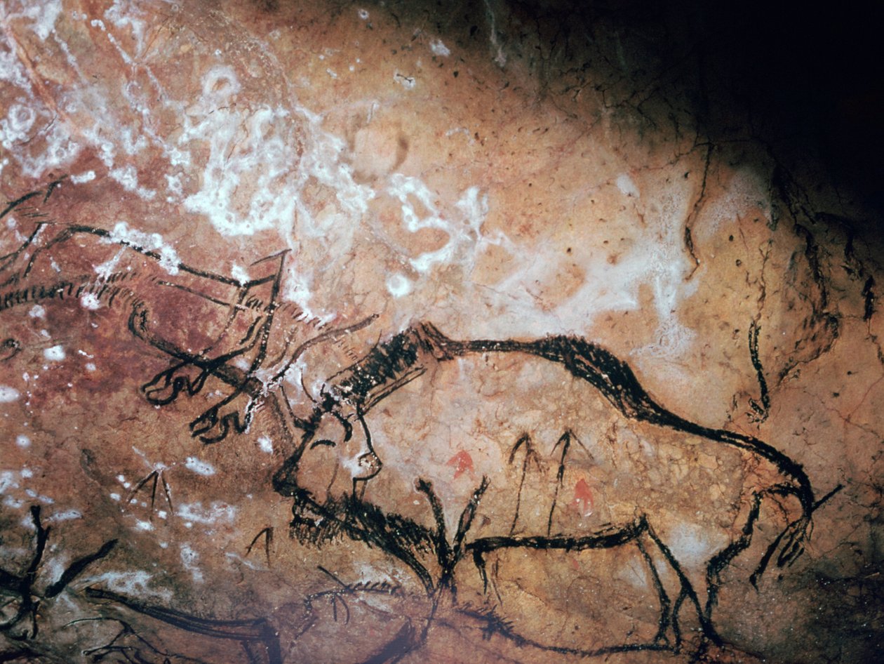 Peinture rupestre néolithique d