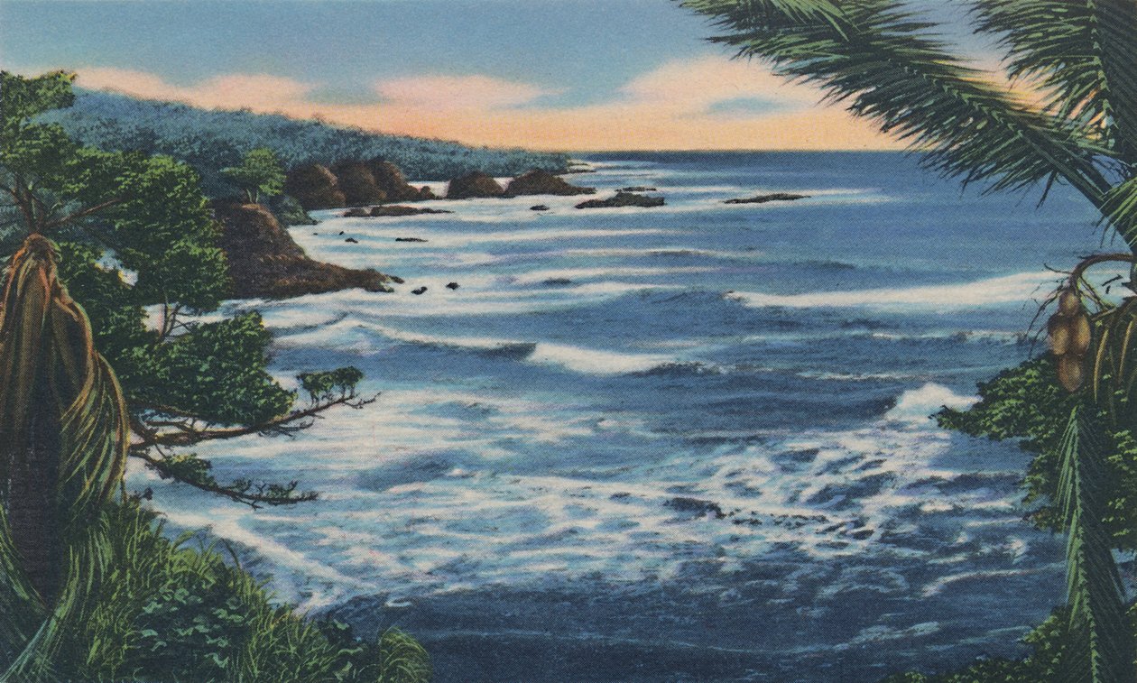 Côte nord, Trinidad, B.W.I., vers 1940 - Unbekannt
