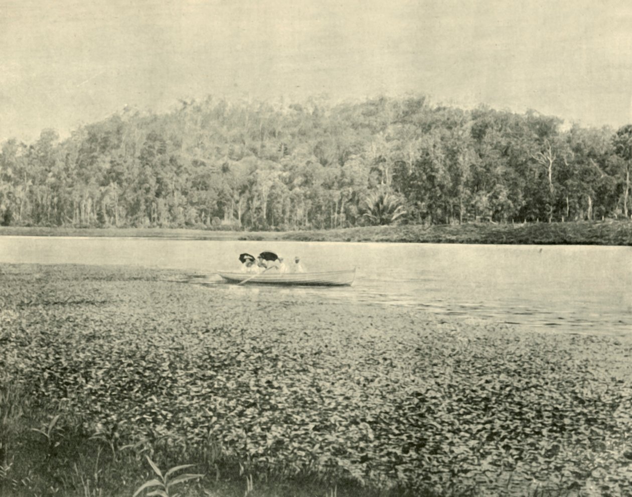 Sur le lac Enoggera, 1901 - Unbekannt