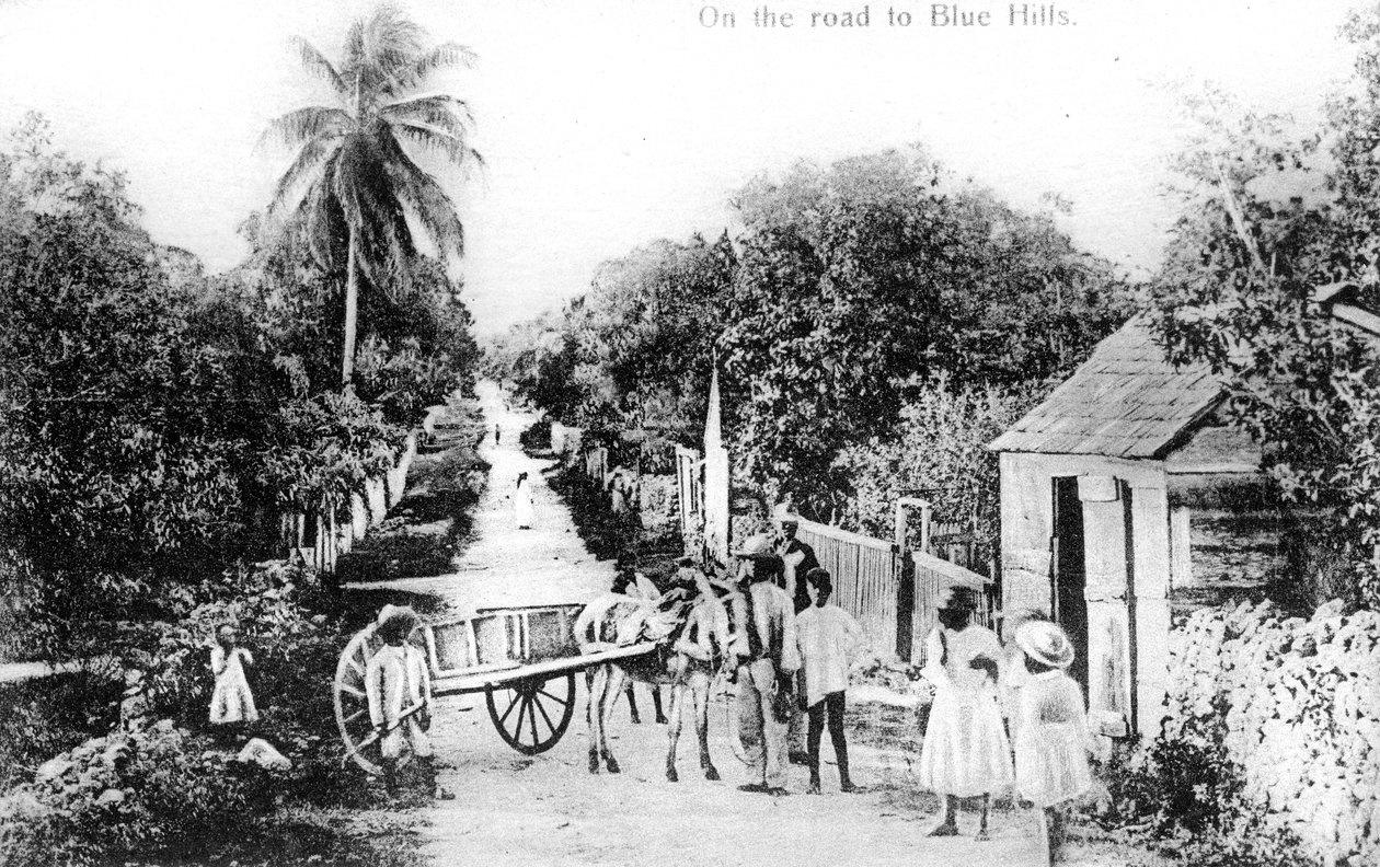 Sur la route de Blue Hills, Bahamas, vers 1900 - Unbekannt