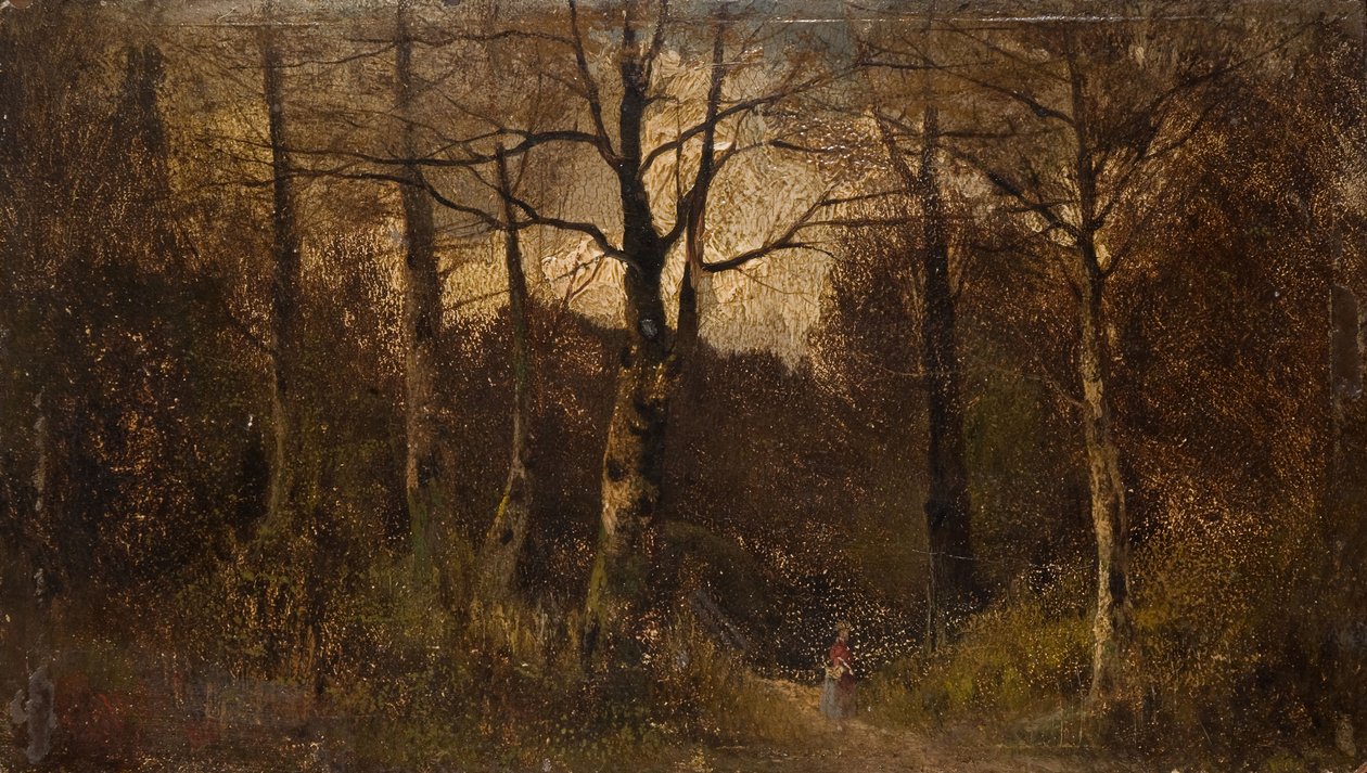Sentier à travers un bois, 1900 - Unbekannt