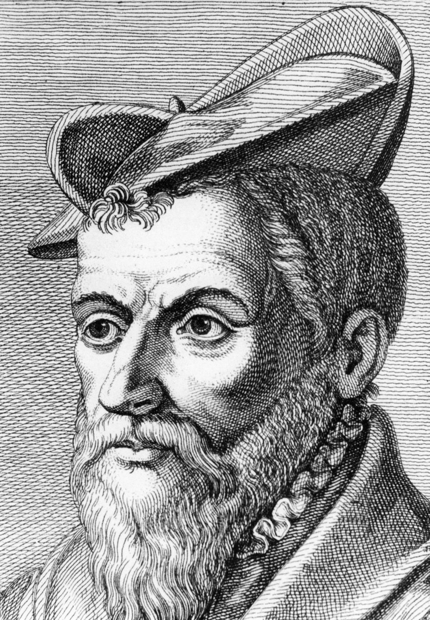 Pierre Belon, naturaliste français, 1553 - Unbekannt