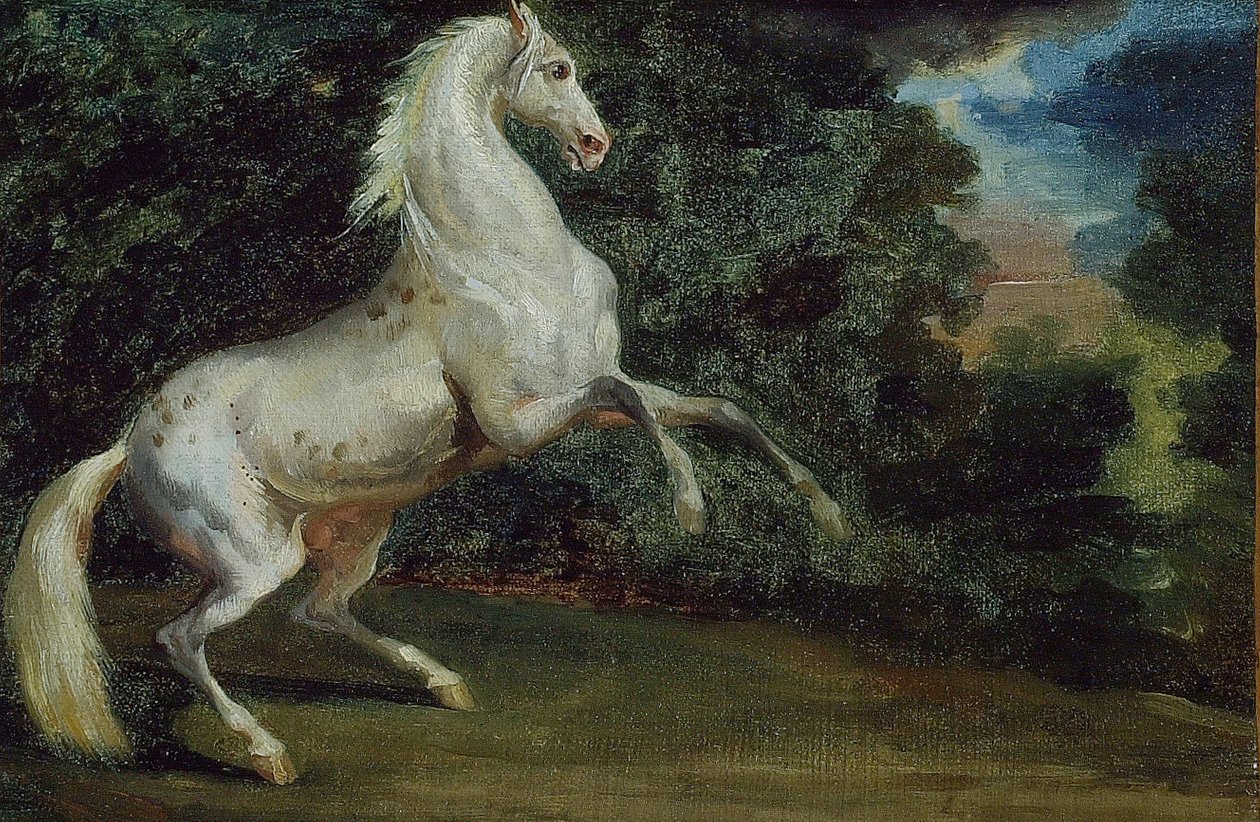 Cheval cabré - Unbekannt