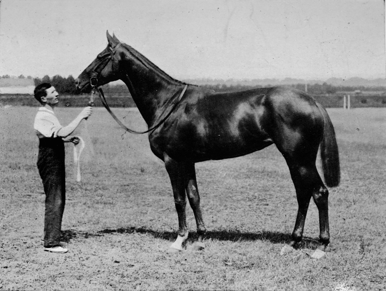 Pretty Polly, 1901-1931, 1911 - Unbekannt