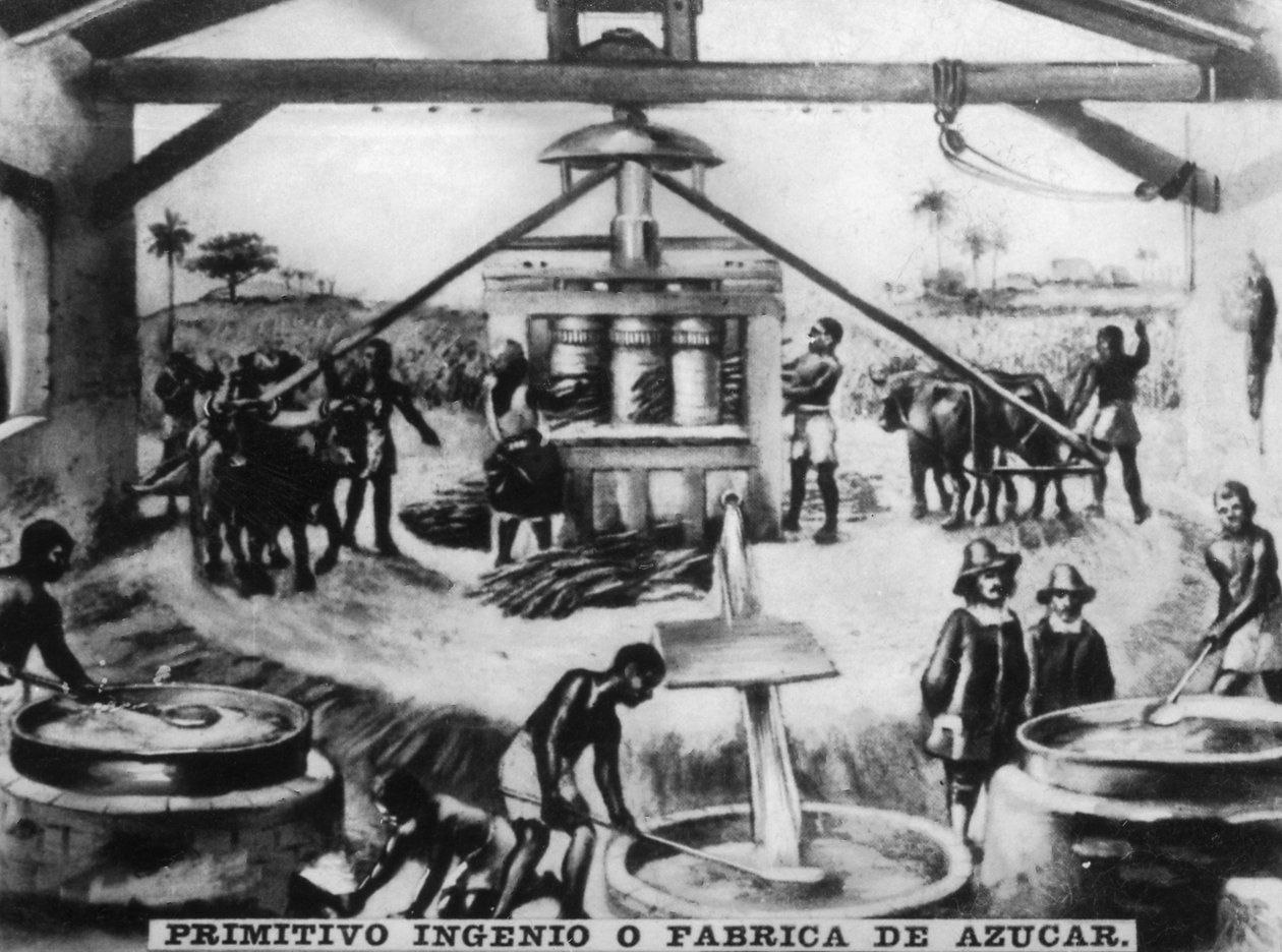 Ingéniosité primitive - Unbekannt
