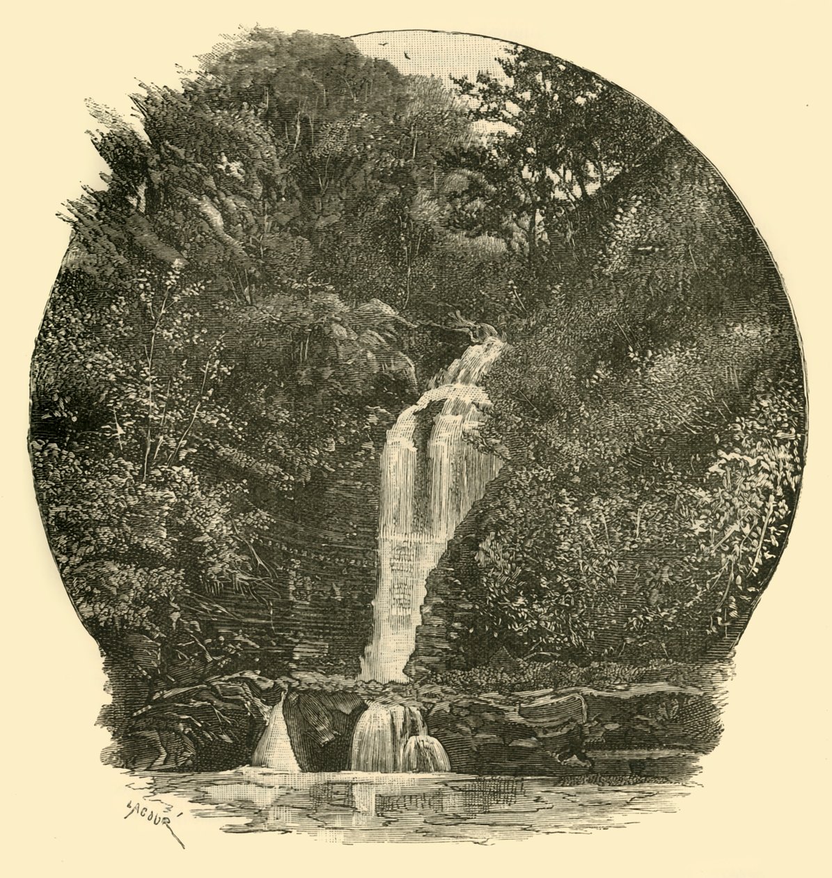 Chutes de Pyrddin, vallée de Neath, 1898 - Unbekannt