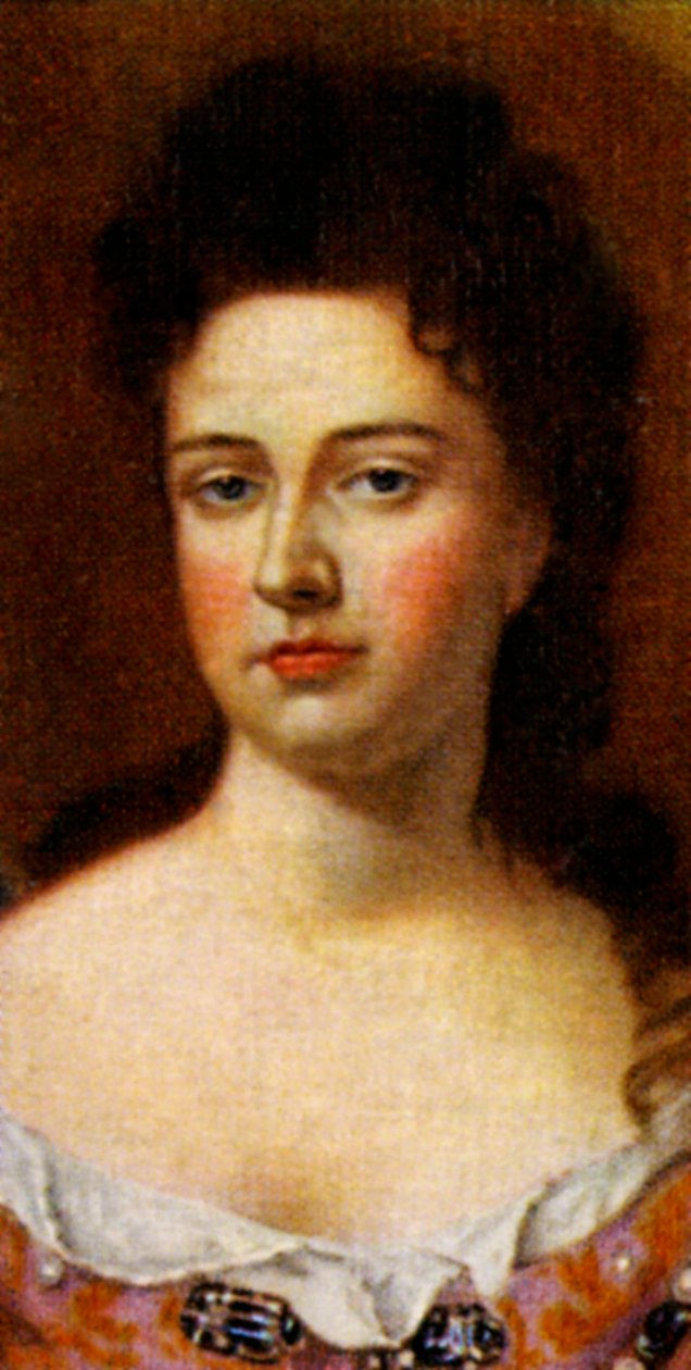 Reine Anne - Unbekannt