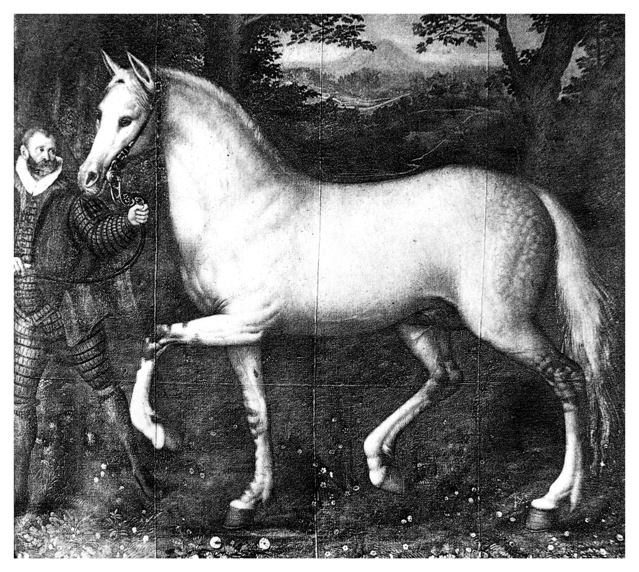 Le cheval de la reine Élisabeth I, 1896 - Unbekannt