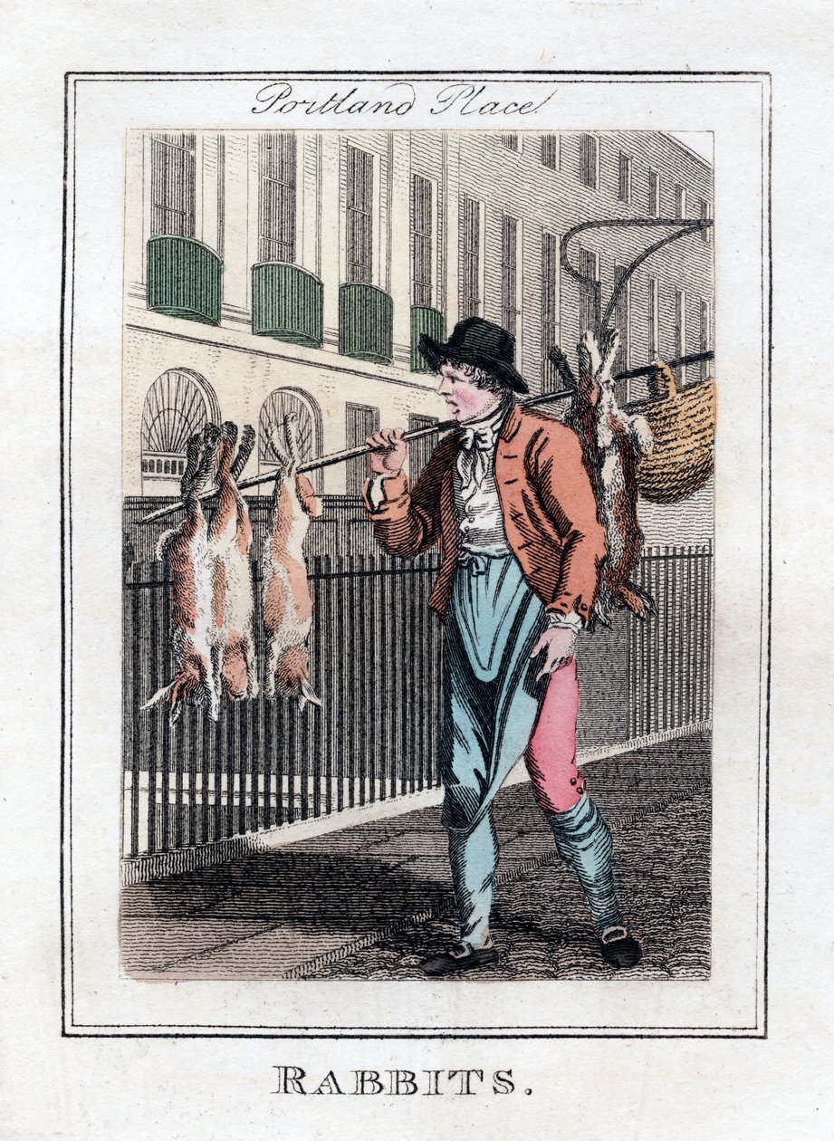 Lapins, Portland Place, Londres, 1805 - Unbekannt