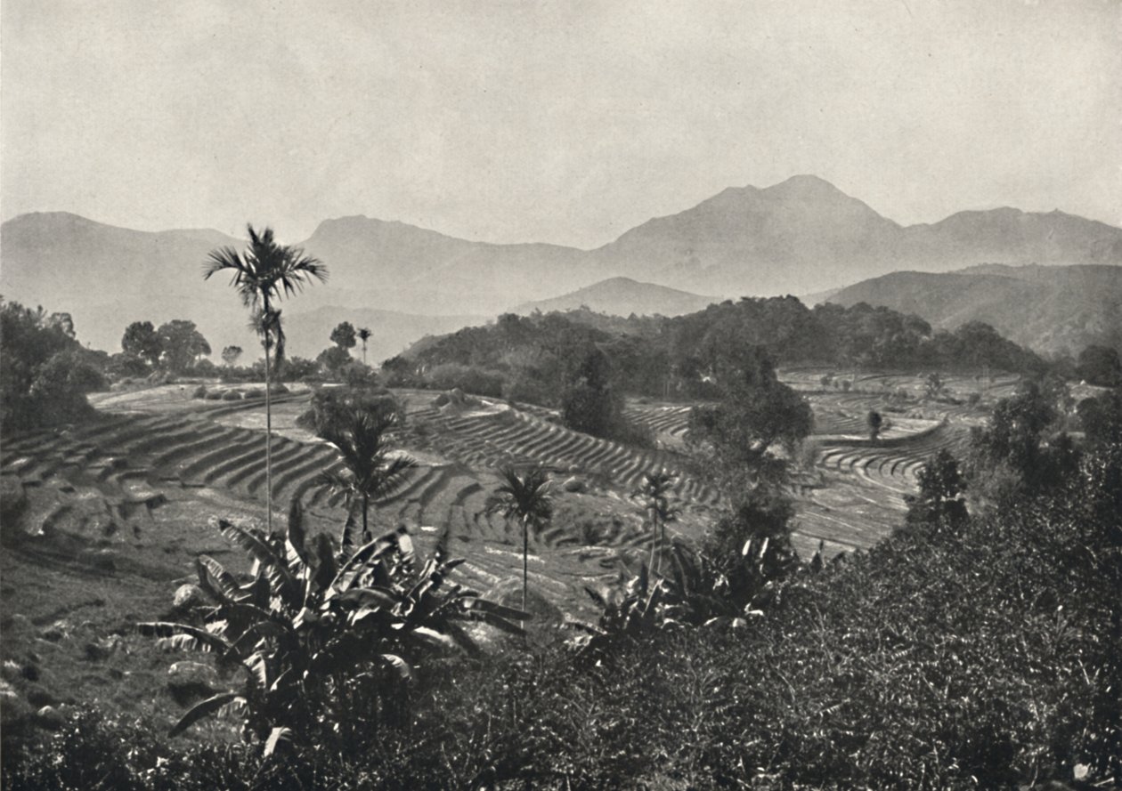 Rizières en terrasses, 1926 - Unbekannt