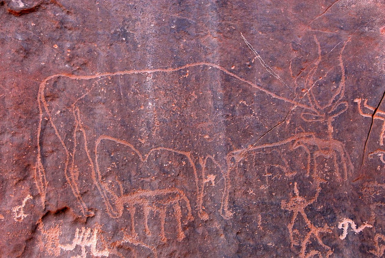 Peintures rupestres à Inchalt - Unbekannt