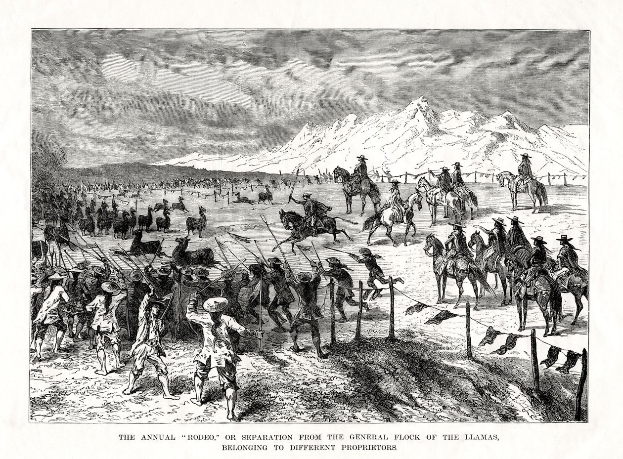 Rodéo, Amérique du Sud, 1877 - Unbekannt