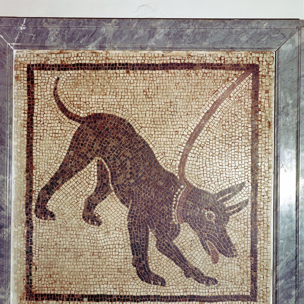 Mosaïque romaine de chien, Cave Canem, Pompéi, Italie - Unbekannt