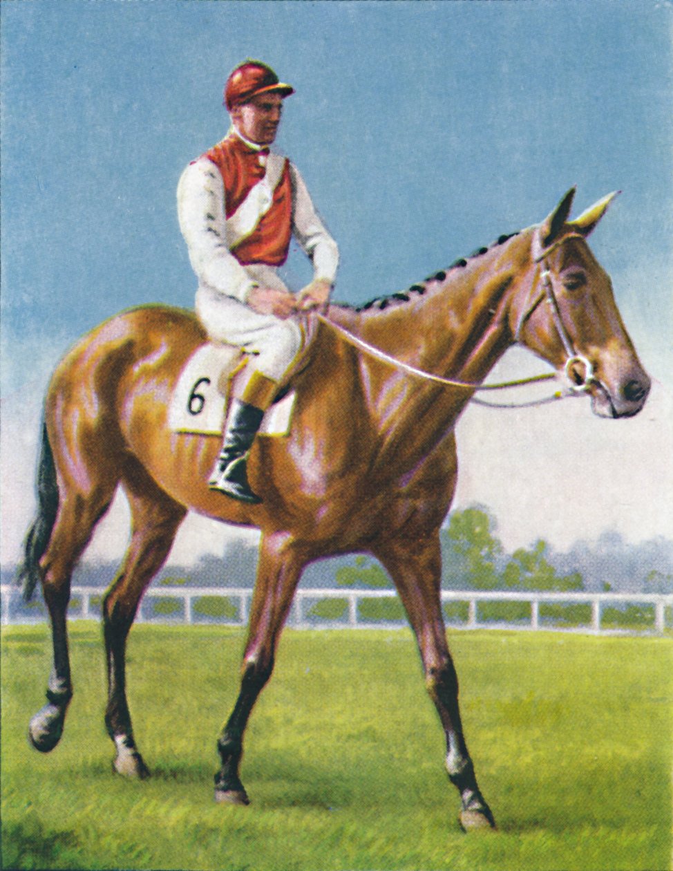 Royal Danieli, Jockey : D. Moore, 1939 - Unbekannt